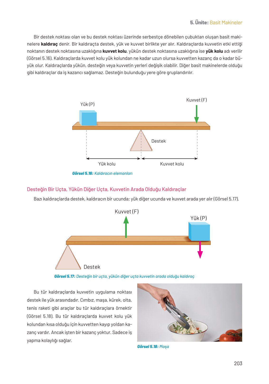8. Sınıf Fen Bilimleri Ders Kitabı Hecce Yayınları Sayfa 203 Cevapları