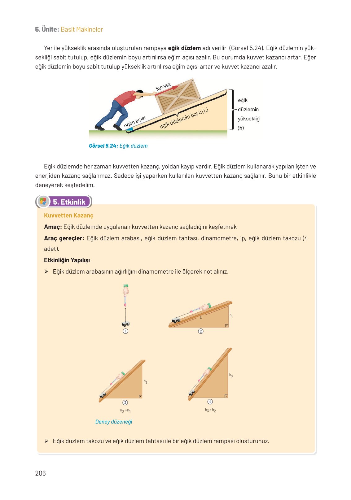 8. Sınıf Fen Bilimleri Ders Kitabı Hecce Yayınları Sayfa 206 Cevapları