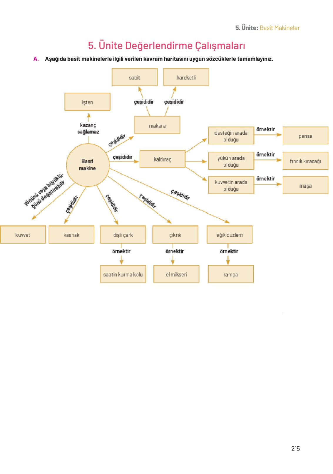8. Sınıf Fen Bilimleri Ders Kitabı Hecce Yayınları Sayfa 215 Cevapları
