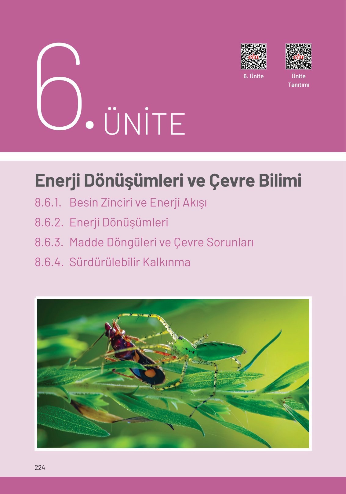 8. Sınıf Fen Bilimleri Ders Kitabı Hecce Yayınları Sayfa 224 Cevapları