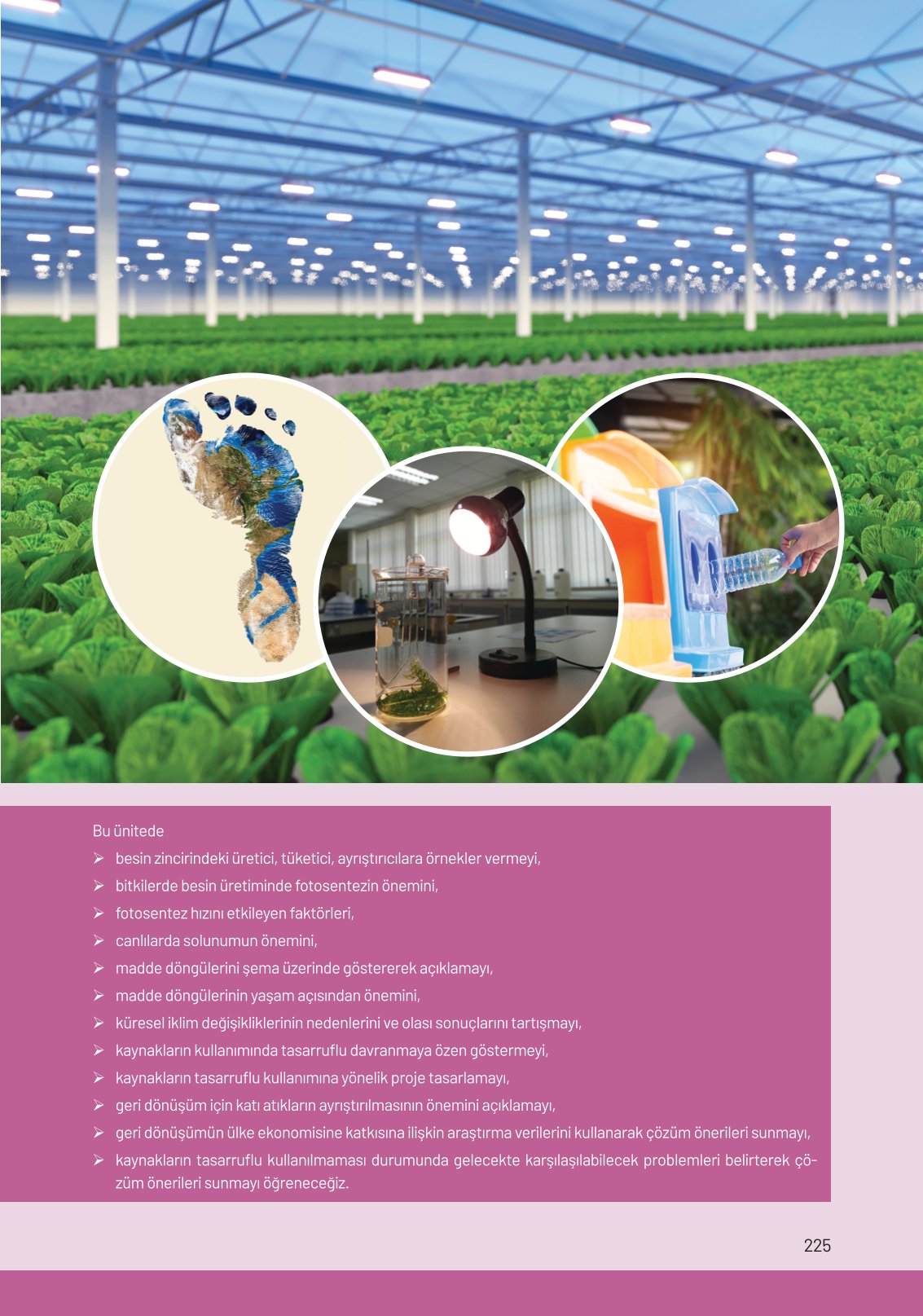 8. Sınıf Fen Bilimleri Ders Kitabı Hecce Yayınları Sayfa 225 Cevapları