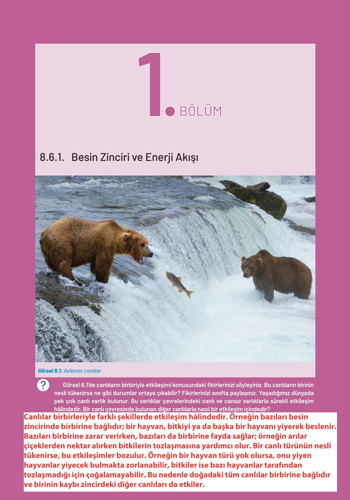 8. Sınıf Fen Bilimleri Ders Kitabı Hecce Yayınları Sayfa 226 Cevapları