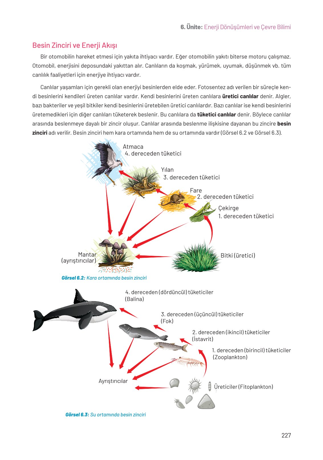 8. Sınıf Fen Bilimleri Ders Kitabı Hecce Yayınları Sayfa 227 Cevapları
