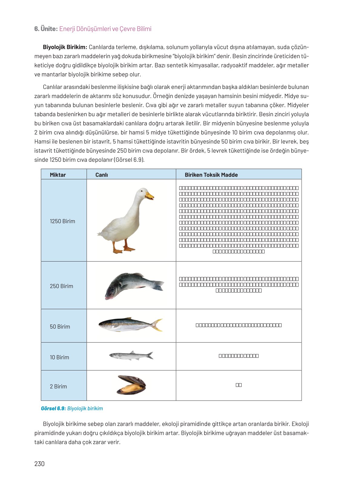 8. Sınıf Fen Bilimleri Ders Kitabı Hecce Yayınları Sayfa 230 Cevapları