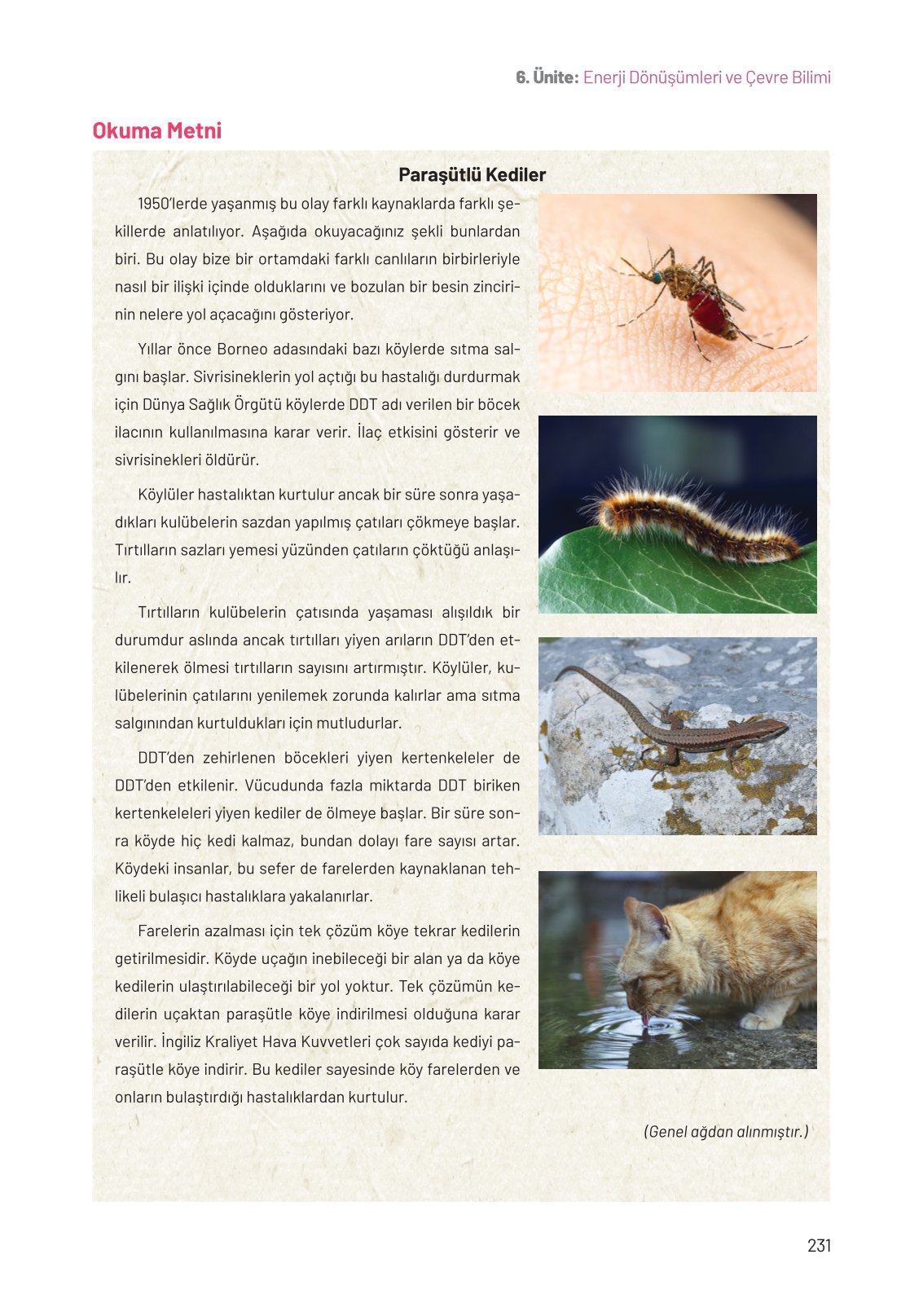 8. Sınıf Fen Bilimleri Ders Kitabı Hecce Yayınları Sayfa 231 Cevapları