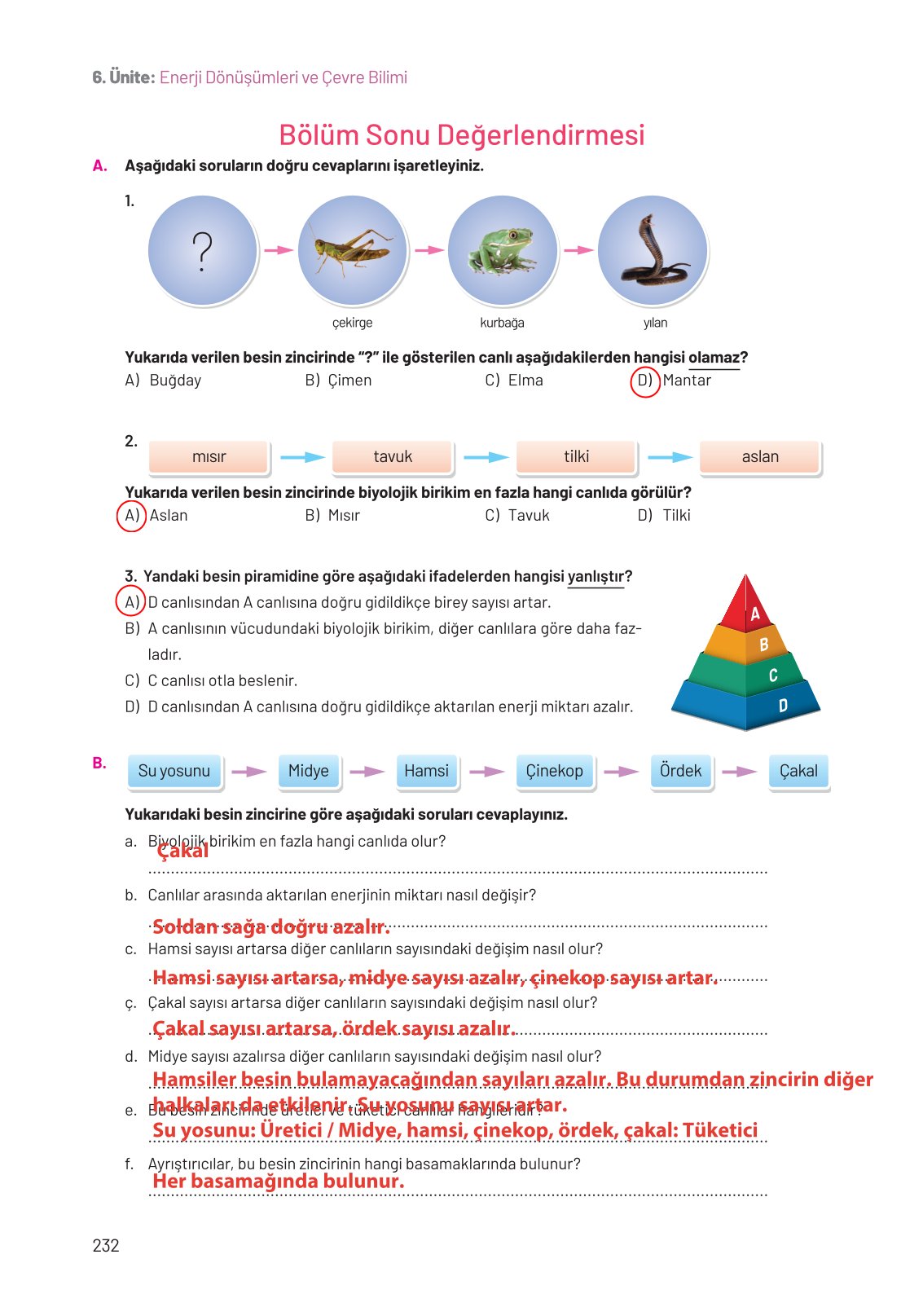 8. Sınıf Fen Bilimleri Ders Kitabı Hecce Yayınları Sayfa 232 Cevapları