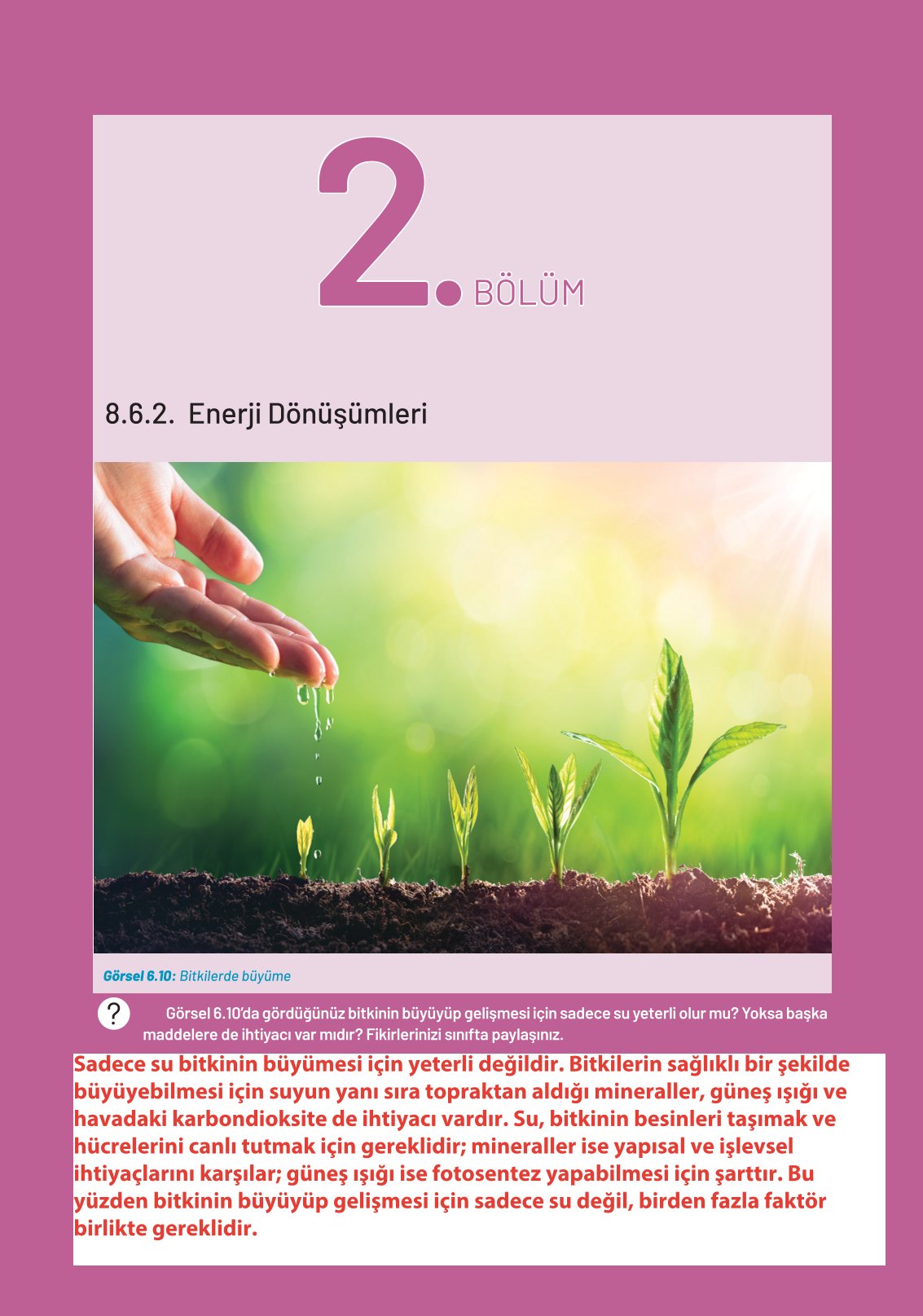 8. Sınıf Fen Bilimleri Ders Kitabı Hecce Yayınları Sayfa 233 Cevapları