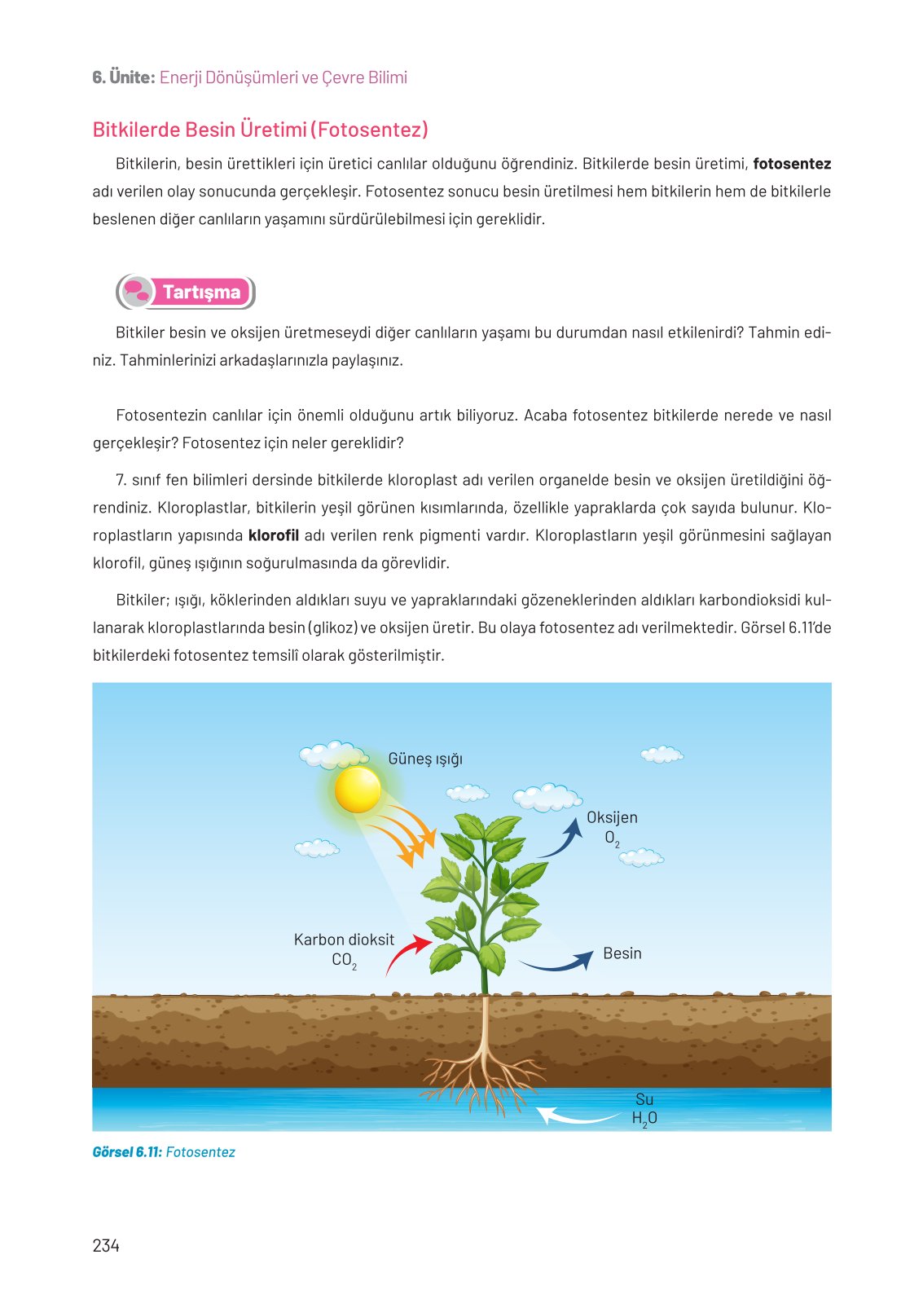 8. Sınıf Fen Bilimleri Ders Kitabı Hecce Yayınları Sayfa 234 Cevapları