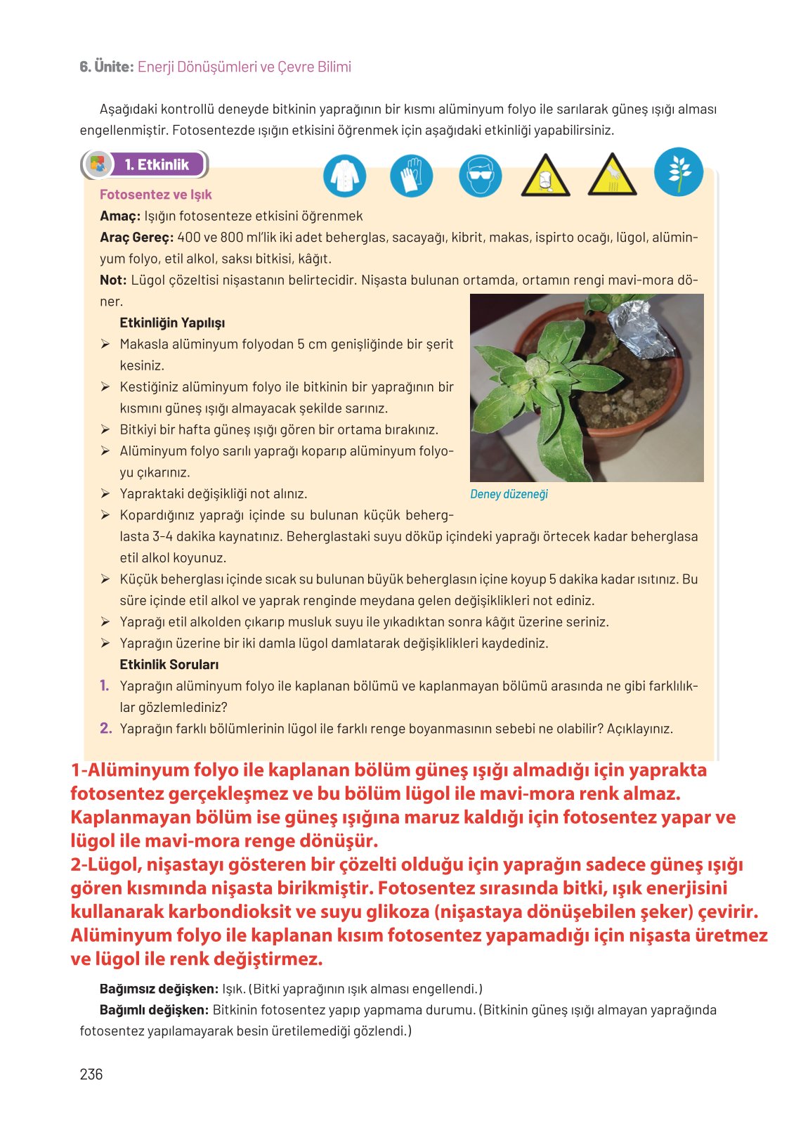 8. Sınıf Fen Bilimleri Ders Kitabı Hecce Yayınları Sayfa 236 Cevapları