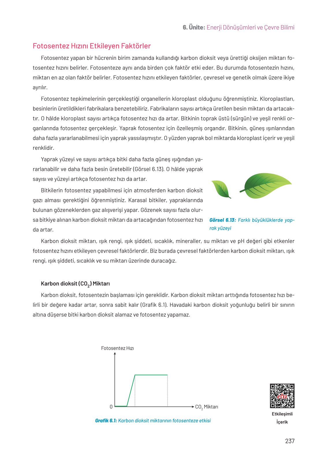 8. Sınıf Fen Bilimleri Ders Kitabı Hecce Yayınları Sayfa 237 Cevapları