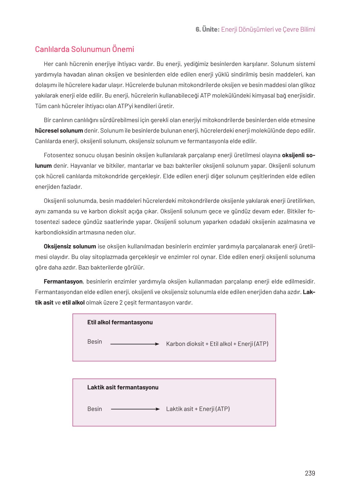 8. Sınıf Fen Bilimleri Ders Kitabı Hecce Yayınları Sayfa 239 Cevapları