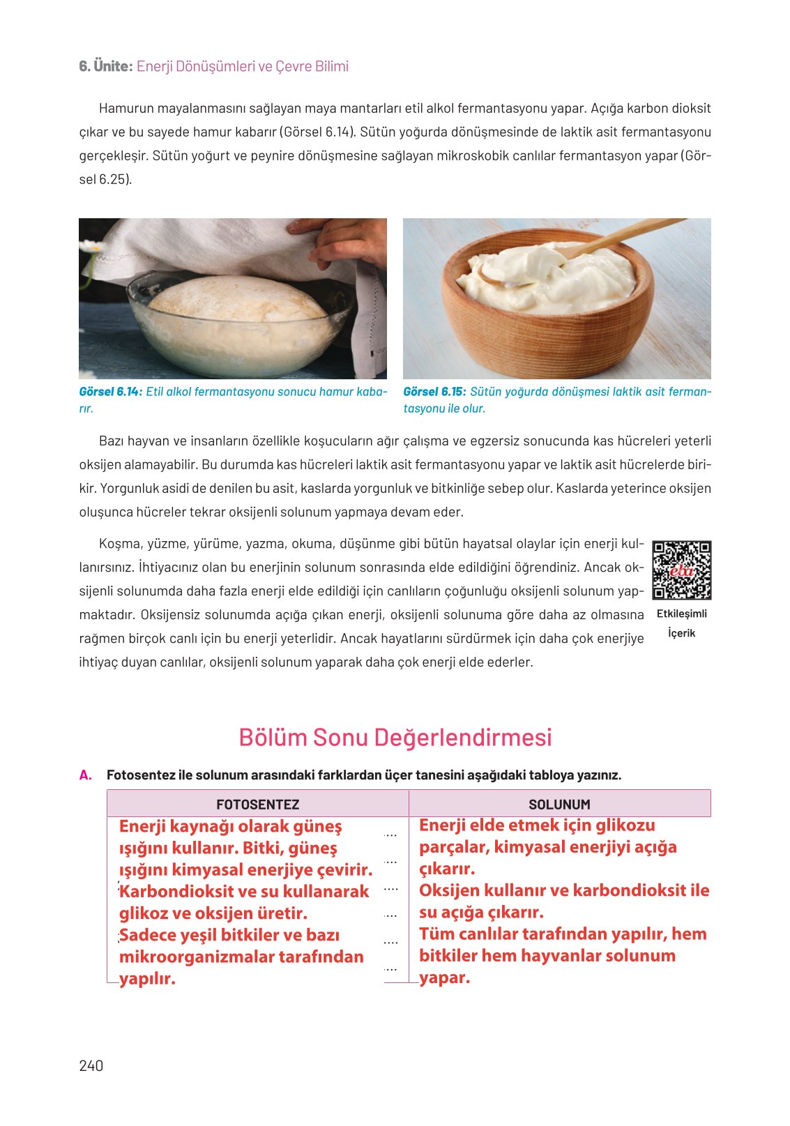 8. Sınıf Fen Bilimleri Ders Kitabı Hecce Yayınları Sayfa 240 Cevapları