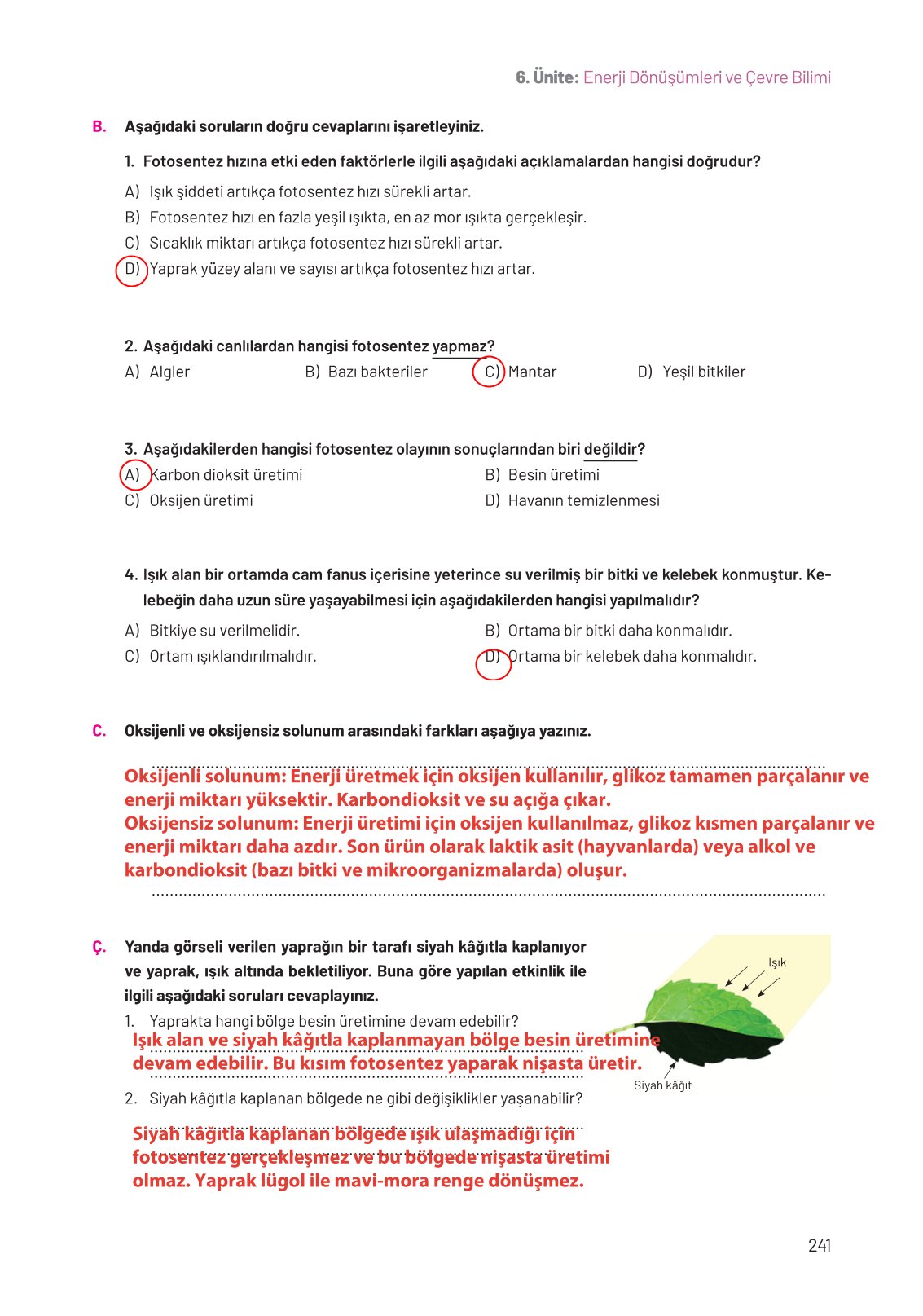 8. Sınıf Fen Bilimleri Ders Kitabı Hecce Yayınları Sayfa 241 Cevapları