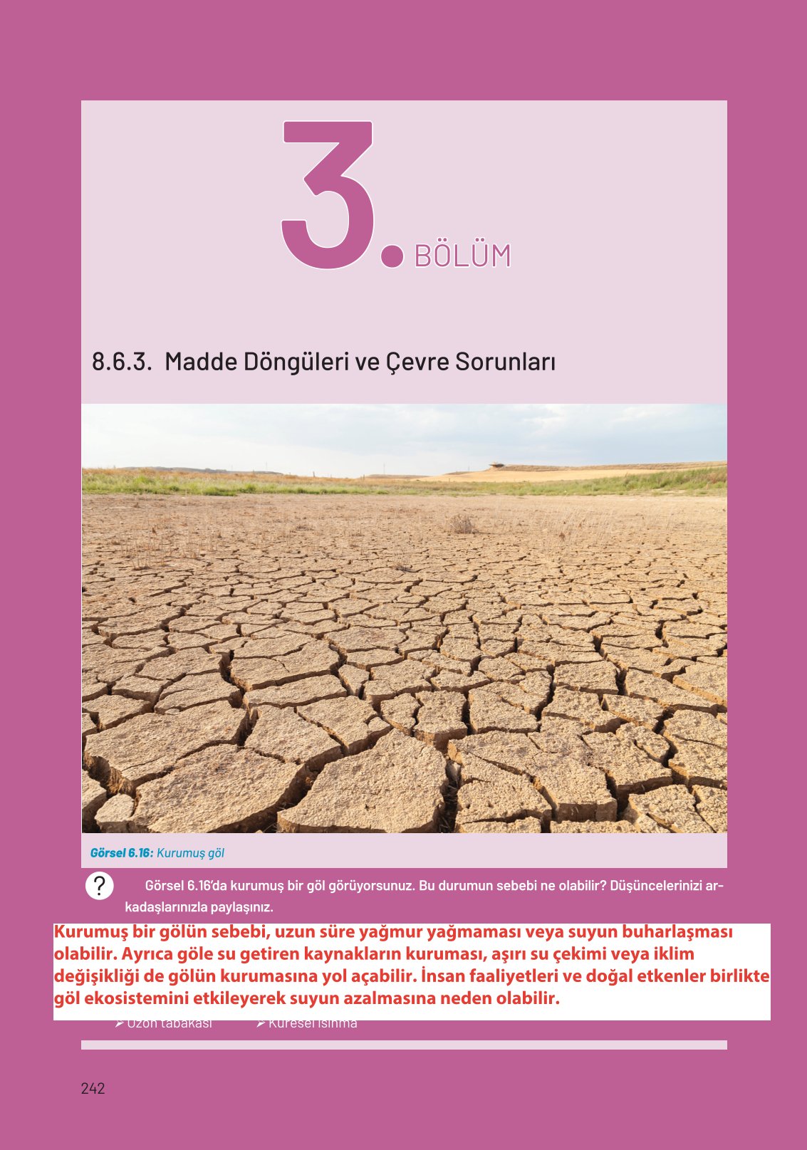 8. Sınıf Fen Bilimleri Ders Kitabı Hecce Yayınları Sayfa 242 Cevapları