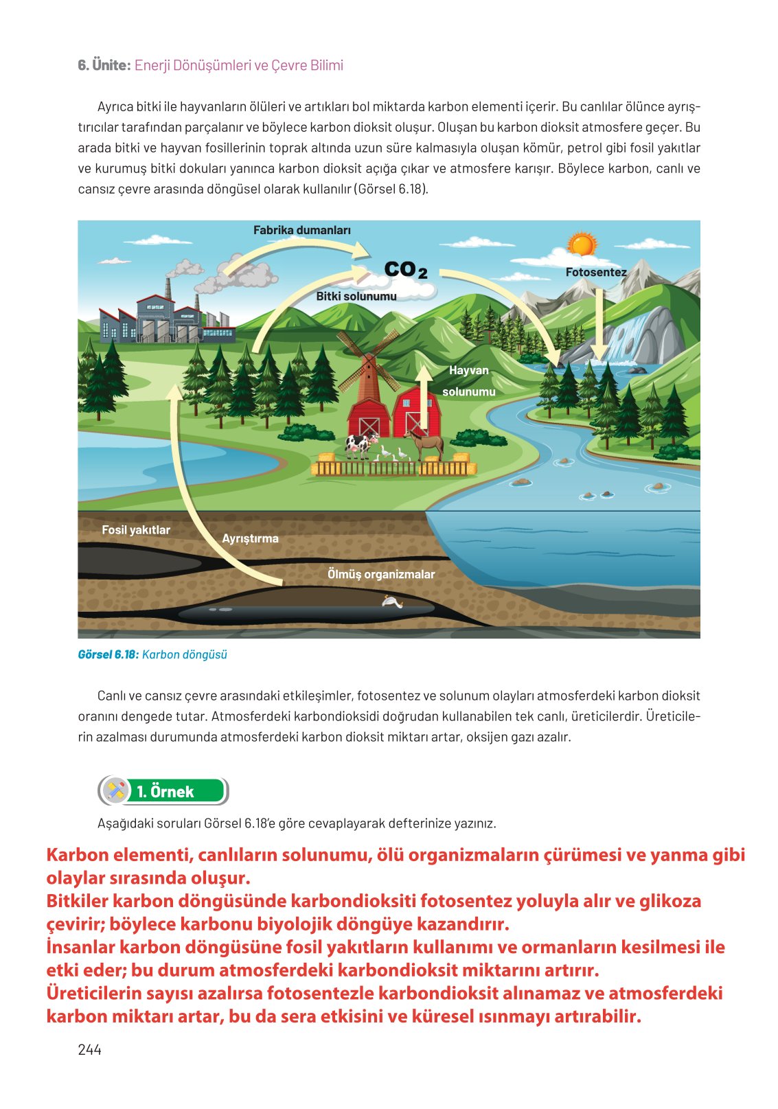 8. Sınıf Fen Bilimleri Ders Kitabı Hecce Yayınları Sayfa 244 Cevapları