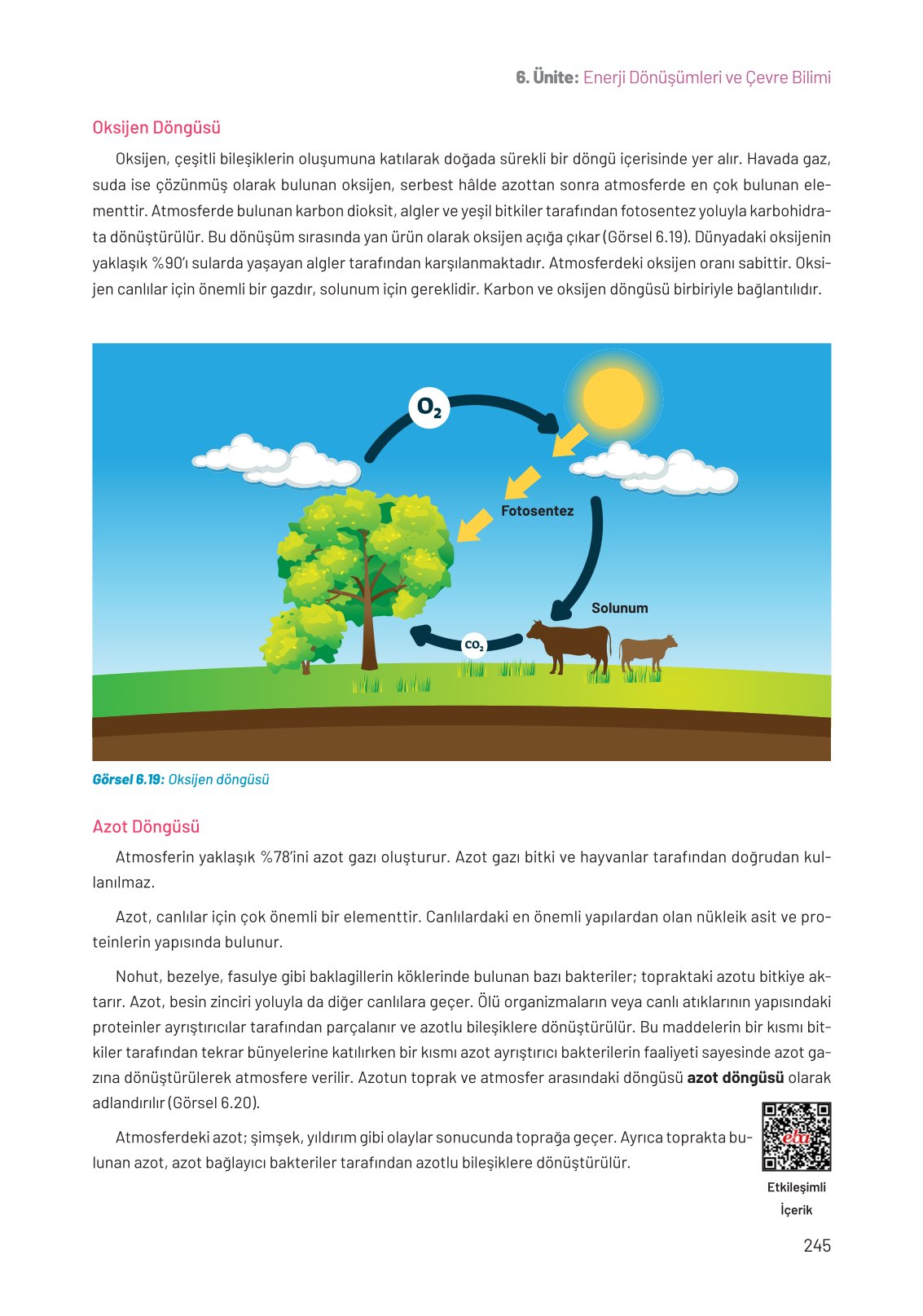 8. Sınıf Fen Bilimleri Ders Kitabı Hecce Yayınları Sayfa 245 Cevapları