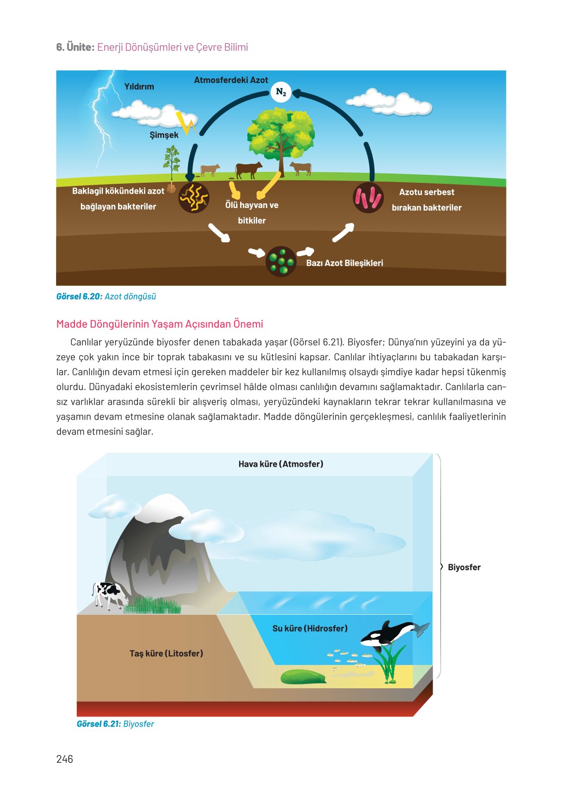 8. Sınıf Fen Bilimleri Ders Kitabı Hecce Yayınları Sayfa 246 Cevapları