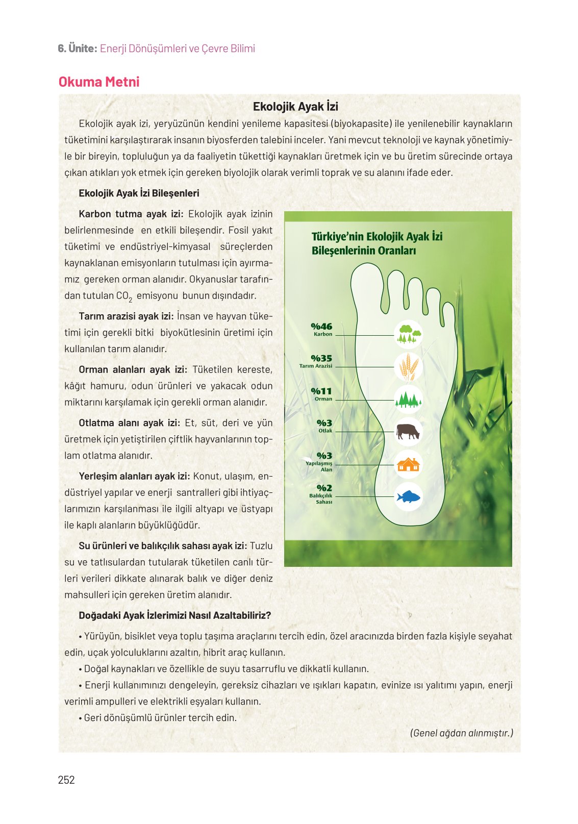 8. Sınıf Fen Bilimleri Ders Kitabı Hecce Yayınları Sayfa 252 Cevapları