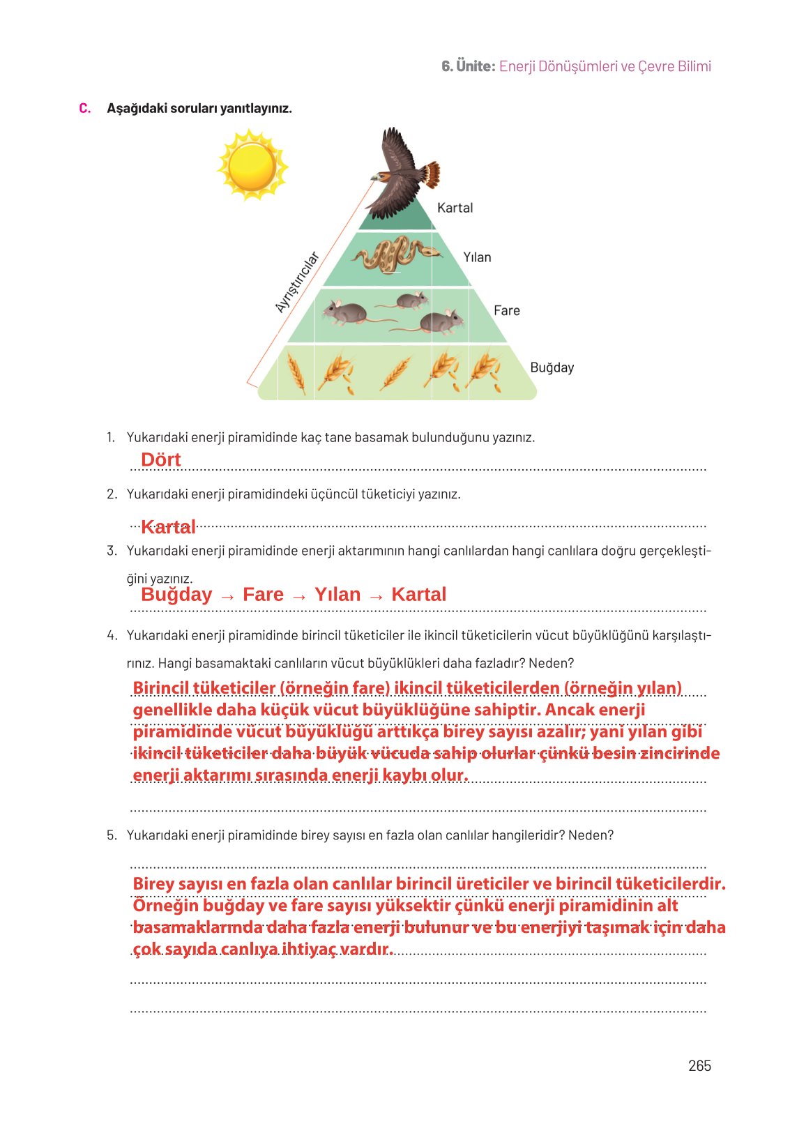 8. Sınıf Fen Bilimleri Ders Kitabı Hecce Yayınları Sayfa 265 Cevapları