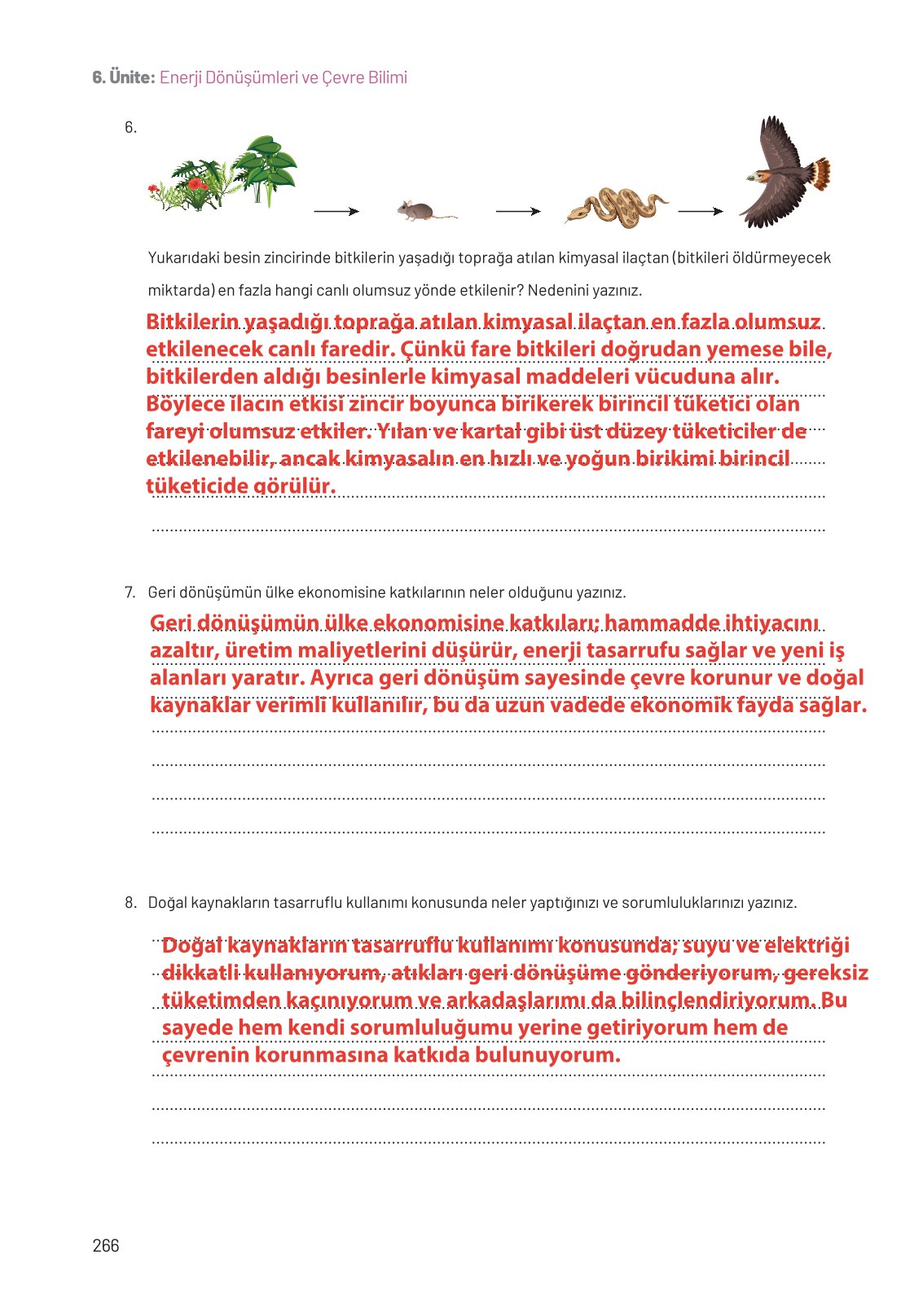 8. Sınıf Fen Bilimleri Ders Kitabı Hecce Yayınları Sayfa 266 Cevapları