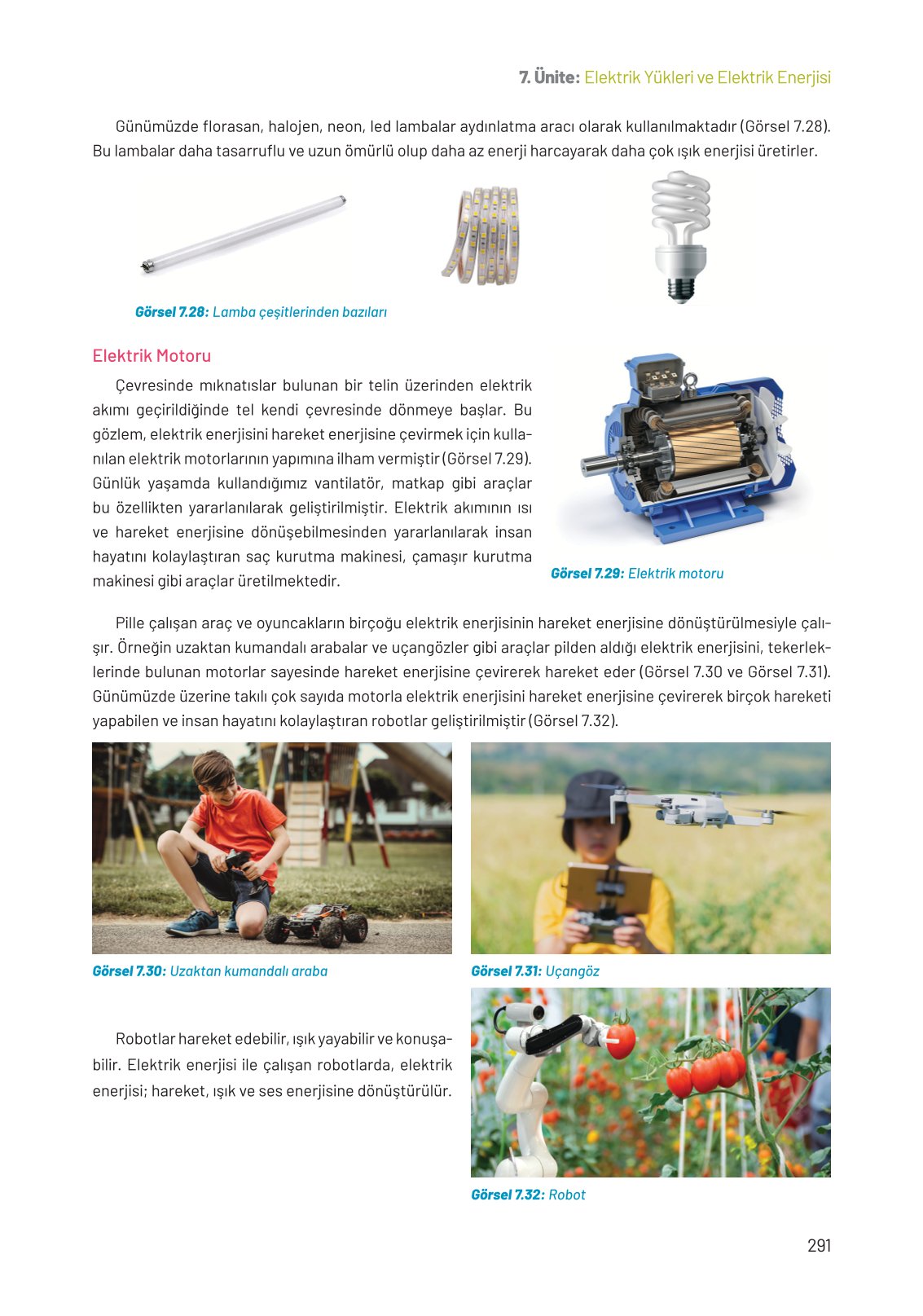 8. Sınıf Fen Bilimleri Ders Kitabı Hecce Yayınları Sayfa 291 Cevapları