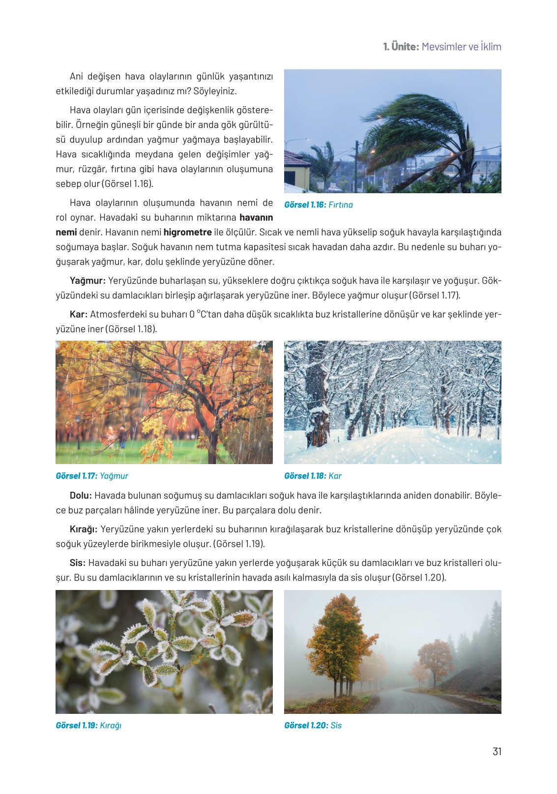 8. Sınıf Fen Bilimleri Ders Kitabı Hecce Yayınları Sayfa 31 Cevapları