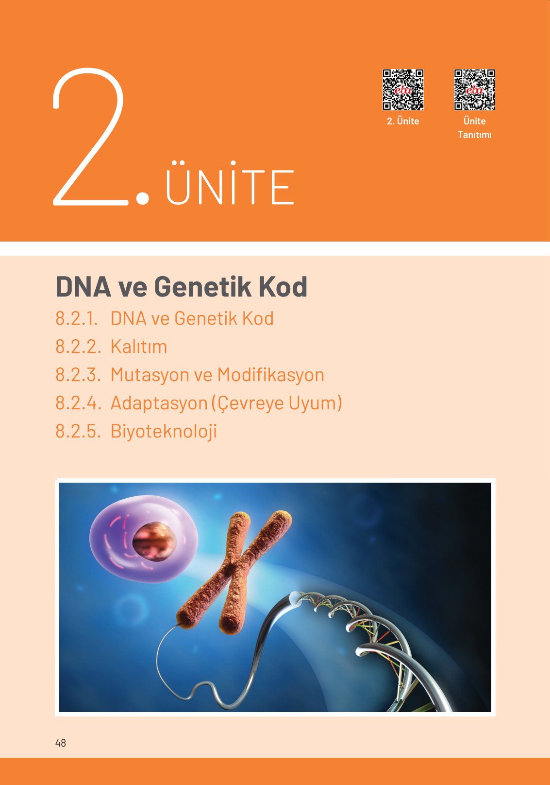 8. Sınıf Fen Bilimleri Ders Kitabı Hecce Yayınları Sayfa 48 Cevapları