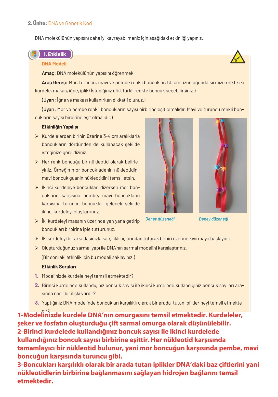 8. Sınıf Fen Bilimleri Ders Kitabı Hecce Yayınları Sayfa 56 Cevapları