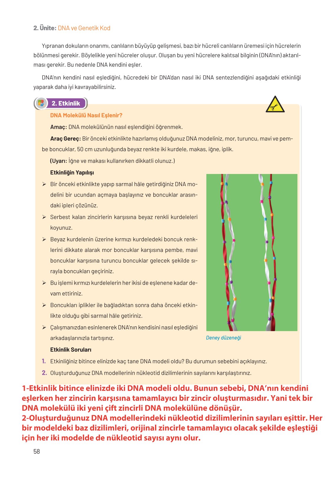 8. Sınıf Fen Bilimleri Ders Kitabı Hecce Yayınları Sayfa 58 Cevapları