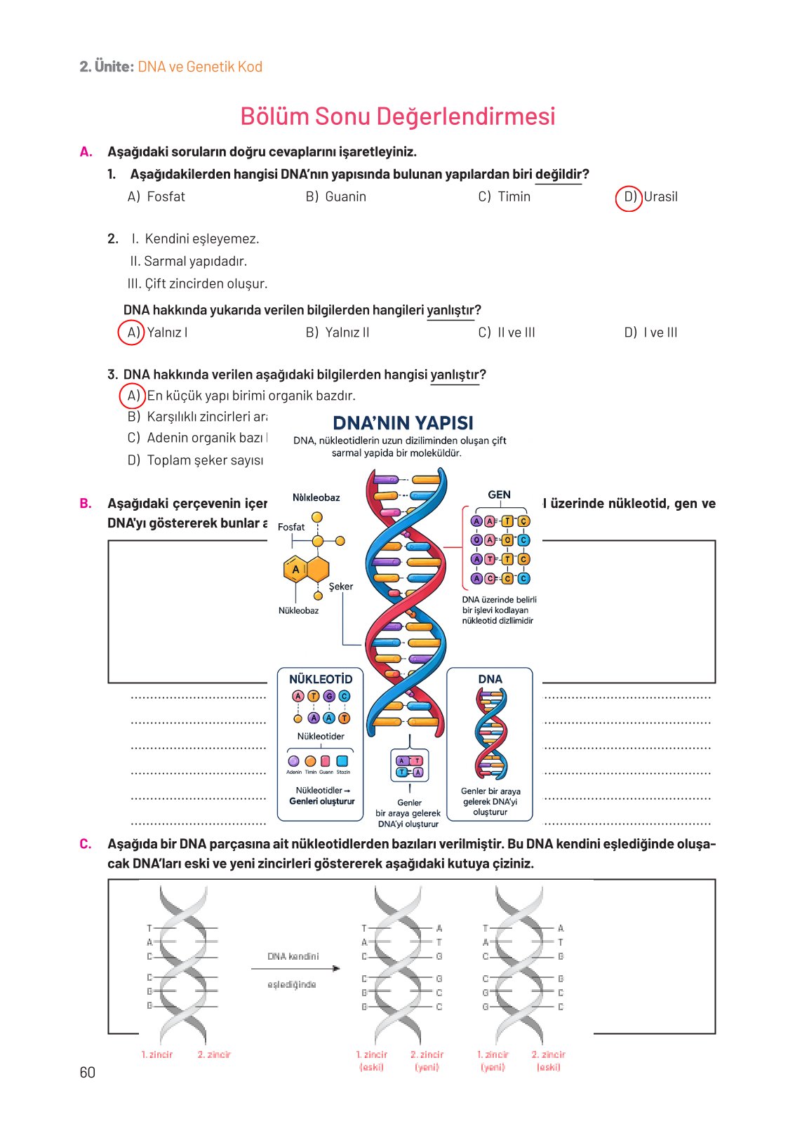 8. Sınıf Fen Bilimleri Ders Kitabı Hecce Yayınları Sayfa 60 Cevapları