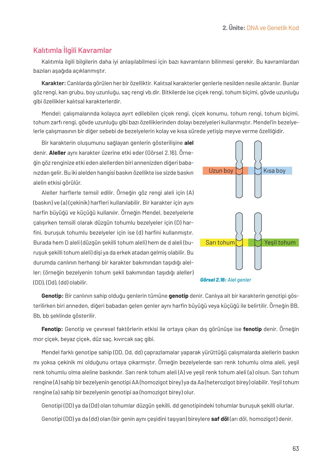 8. Sınıf Fen Bilimleri Ders Kitabı Hecce Yayınları Sayfa 63 Cevapları