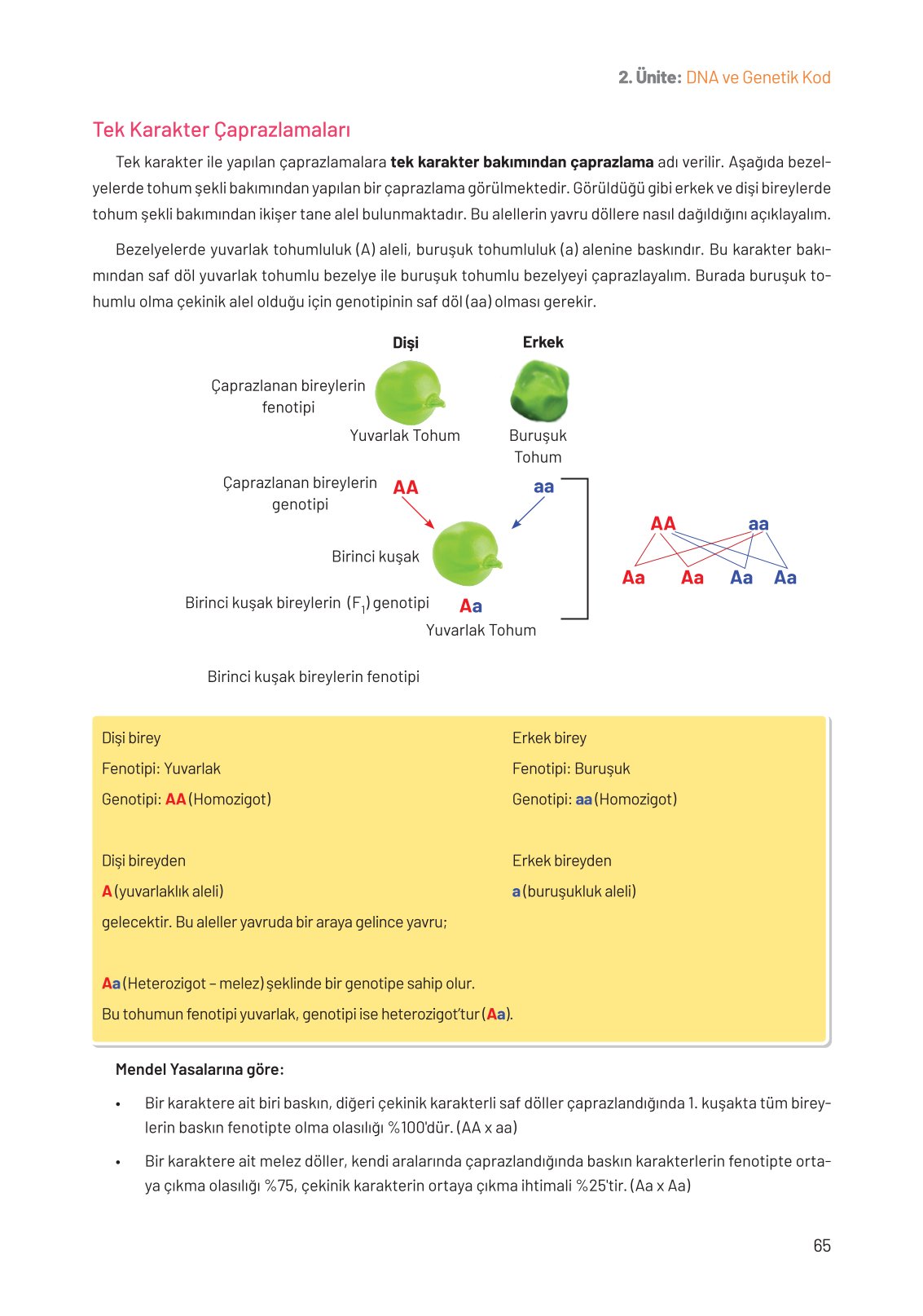 8. Sınıf Fen Bilimleri Ders Kitabı Hecce Yayınları Sayfa 65 Cevapları