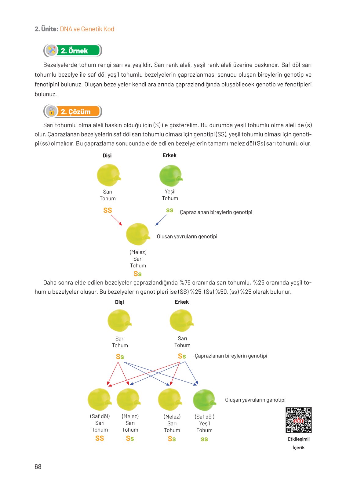 8. Sınıf Fen Bilimleri Ders Kitabı Hecce Yayınları Sayfa 68 Cevapları