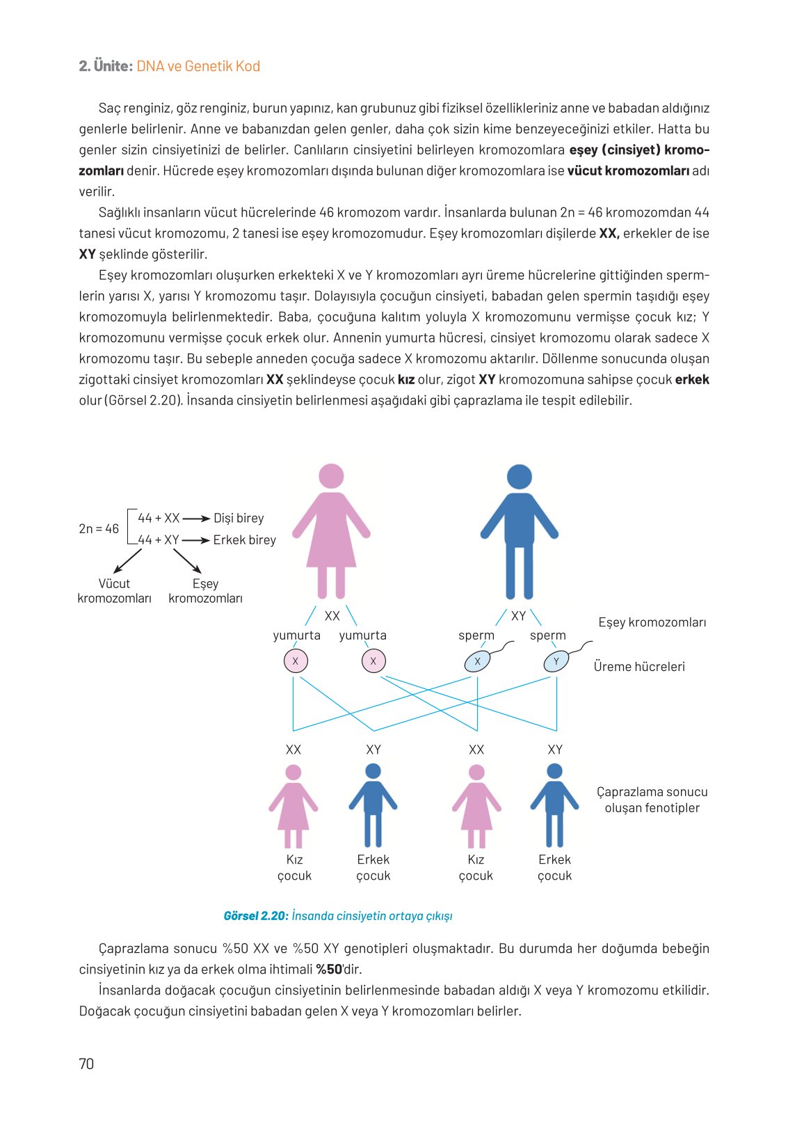 8. Sınıf Fen Bilimleri Ders Kitabı Hecce Yayınları Sayfa 70 Cevapları