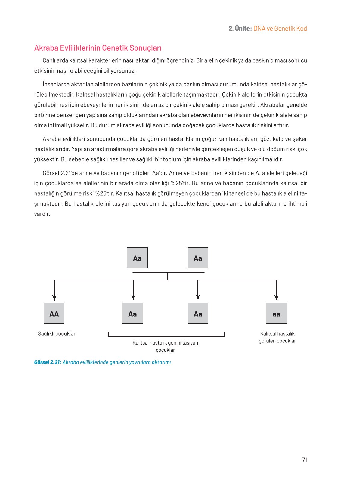 8. Sınıf Fen Bilimleri Ders Kitabı Hecce Yayınları Sayfa 71 Cevapları