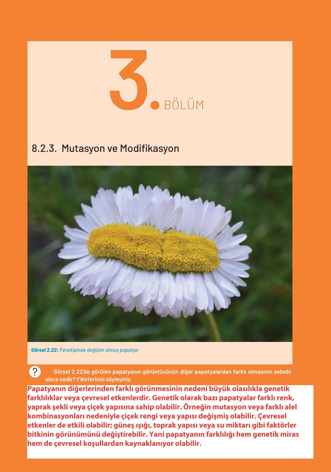8. Sınıf Fen Bilimleri Ders Kitabı Hecce Yayınları Sayfa 73 Cevapları