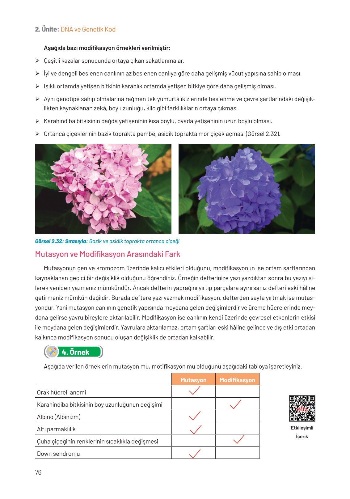 8. Sınıf Fen Bilimleri Ders Kitabı Hecce Yayınları Sayfa 76 Cevapları