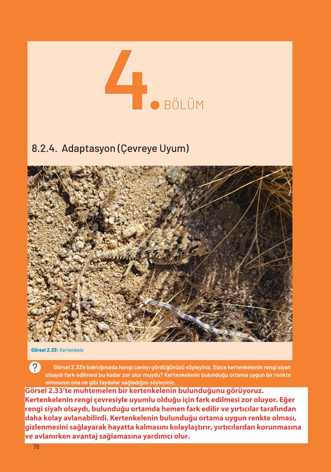 8. Sınıf Fen Bilimleri Ders Kitabı Hecce Yayınları Sayfa 78 Cevapları