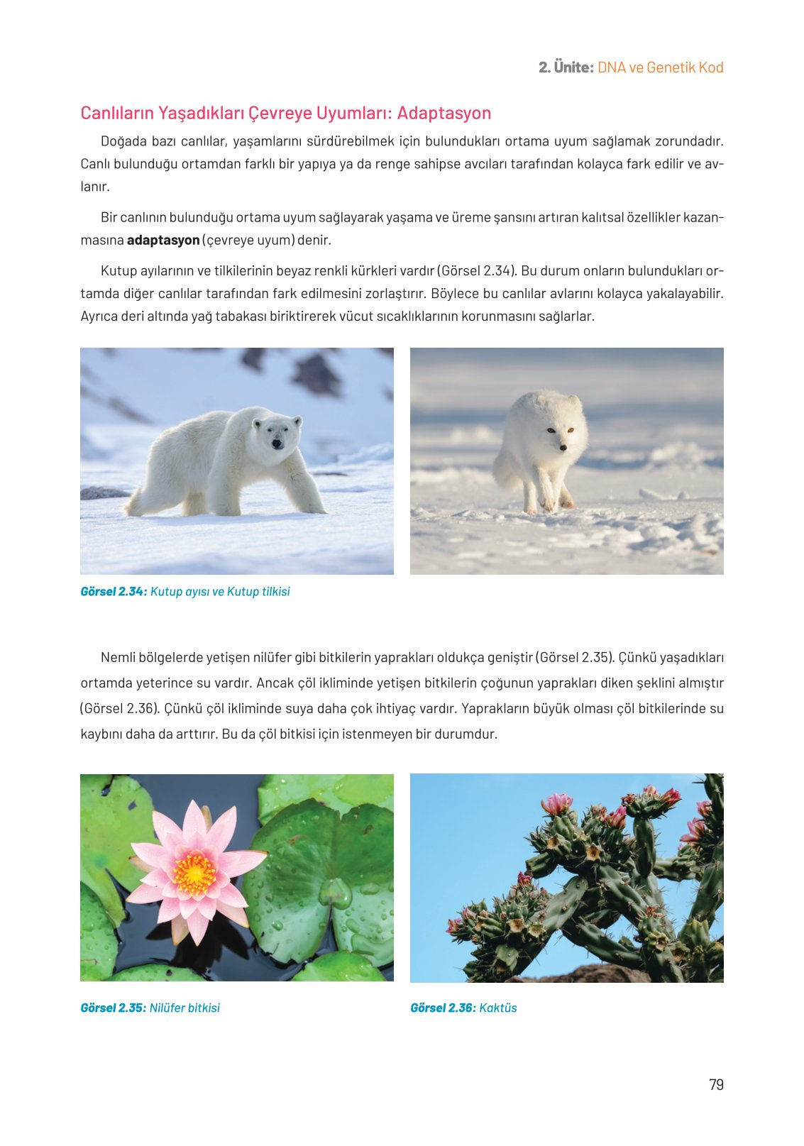 8. Sınıf Fen Bilimleri Ders Kitabı Hecce Yayınları Sayfa 79 Cevapları