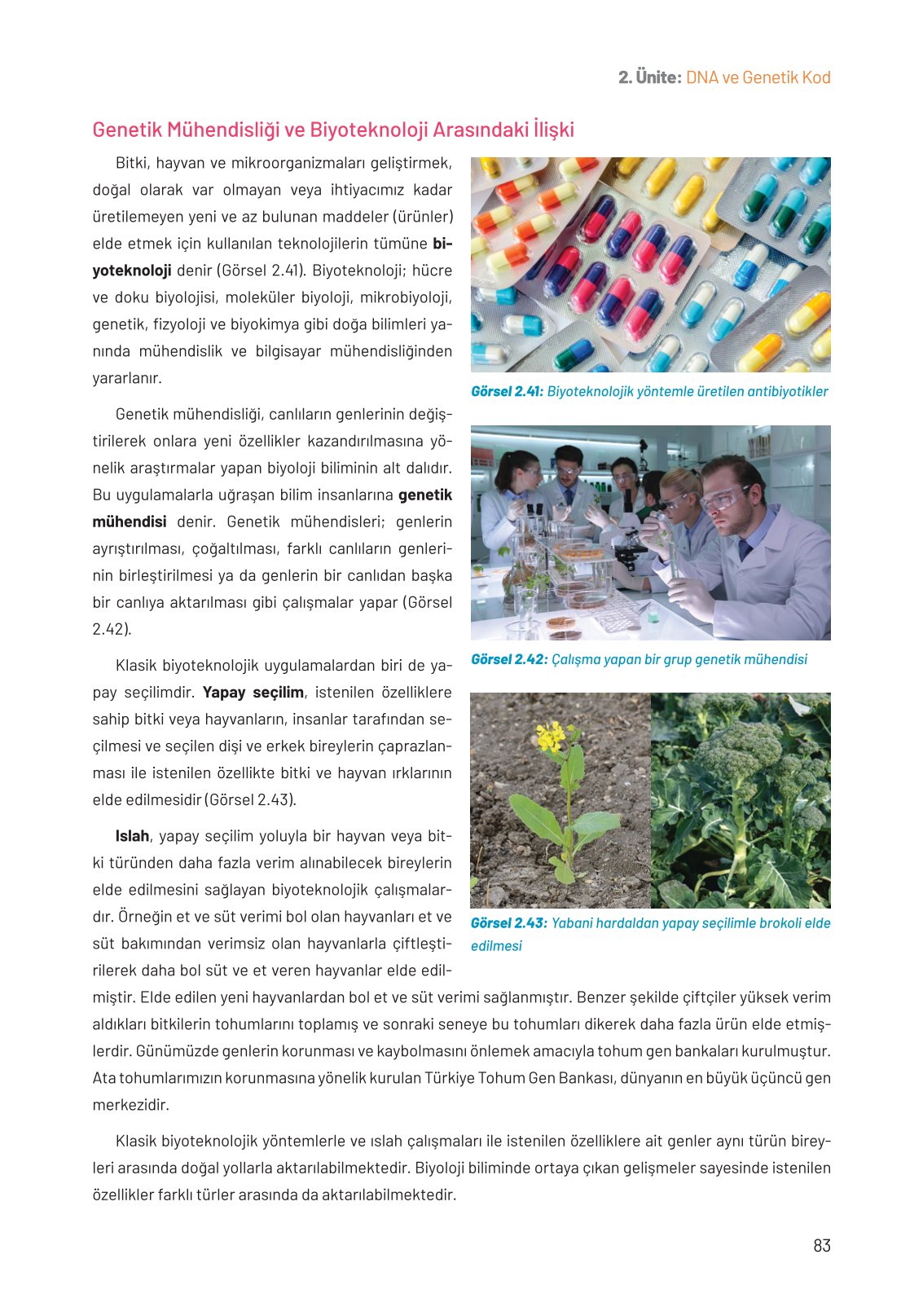 8. Sınıf Fen Bilimleri Ders Kitabı Hecce Yayınları Sayfa 83 Cevapları