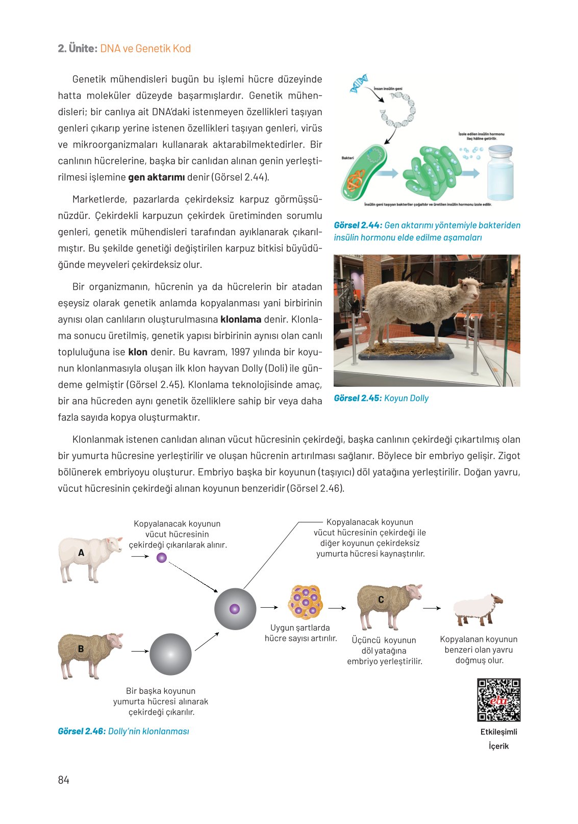8. Sınıf Fen Bilimleri Ders Kitabı Hecce Yayınları Sayfa 84 Cevapları
