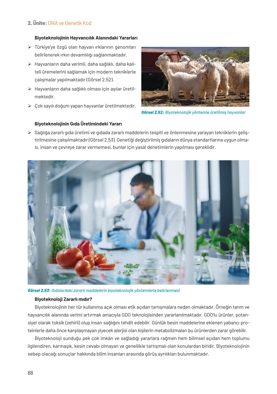 8. Sınıf Fen Bilimleri Ders Kitabı Hecce Yayınları Sayfa 88 Cevapları