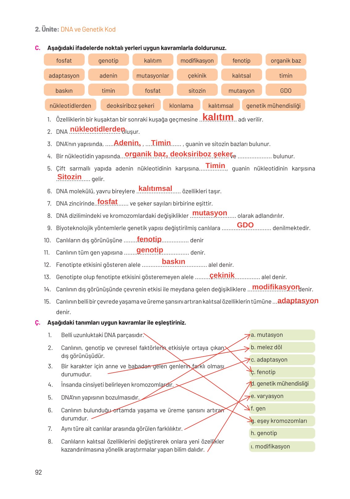 8. Sınıf Fen Bilimleri Ders Kitabı Hecce Yayınları Sayfa 92 Cevapları