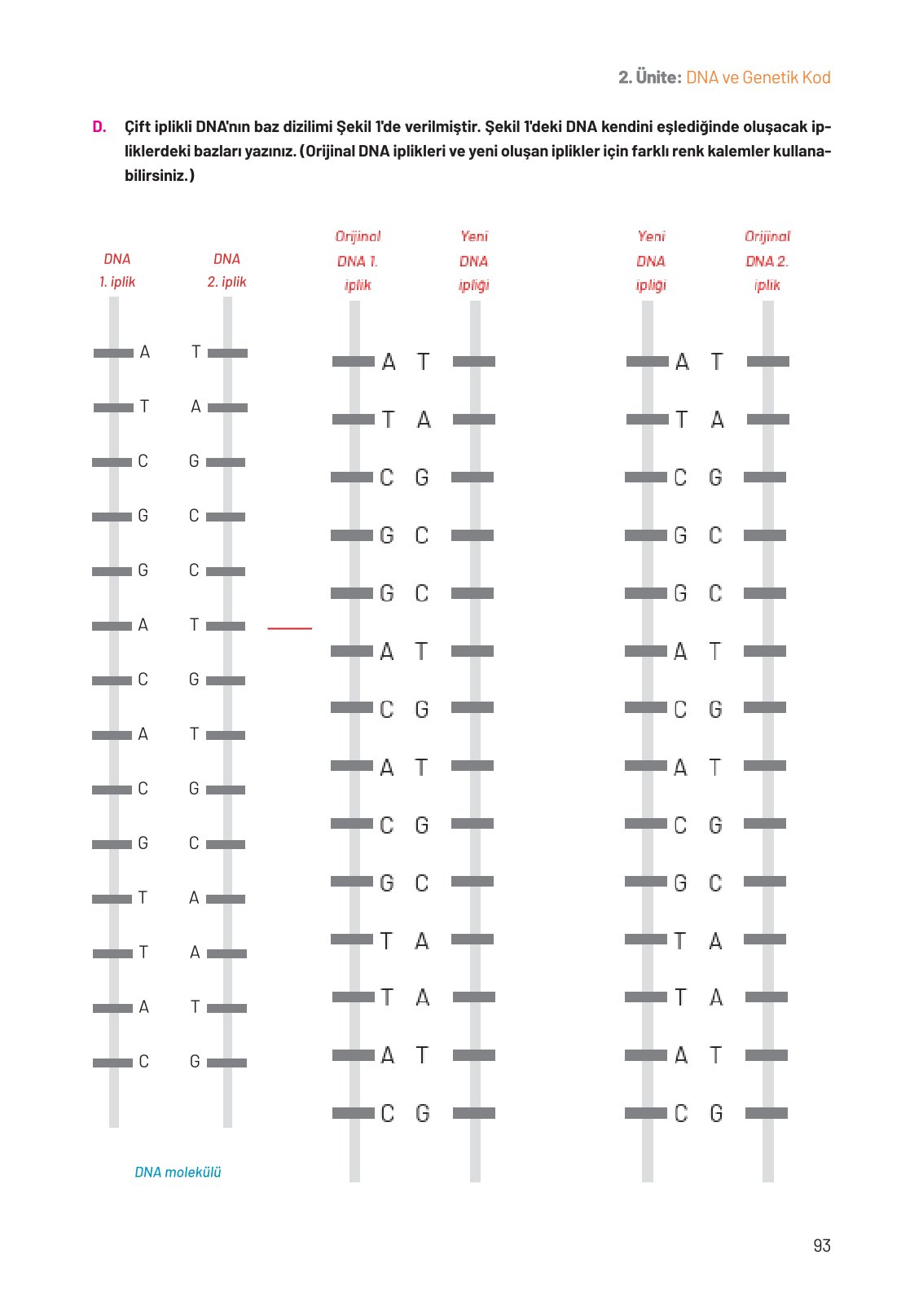 8. Sınıf Fen Bilimleri Ders Kitabı Hecce Yayınları Sayfa 93 Cevapları
