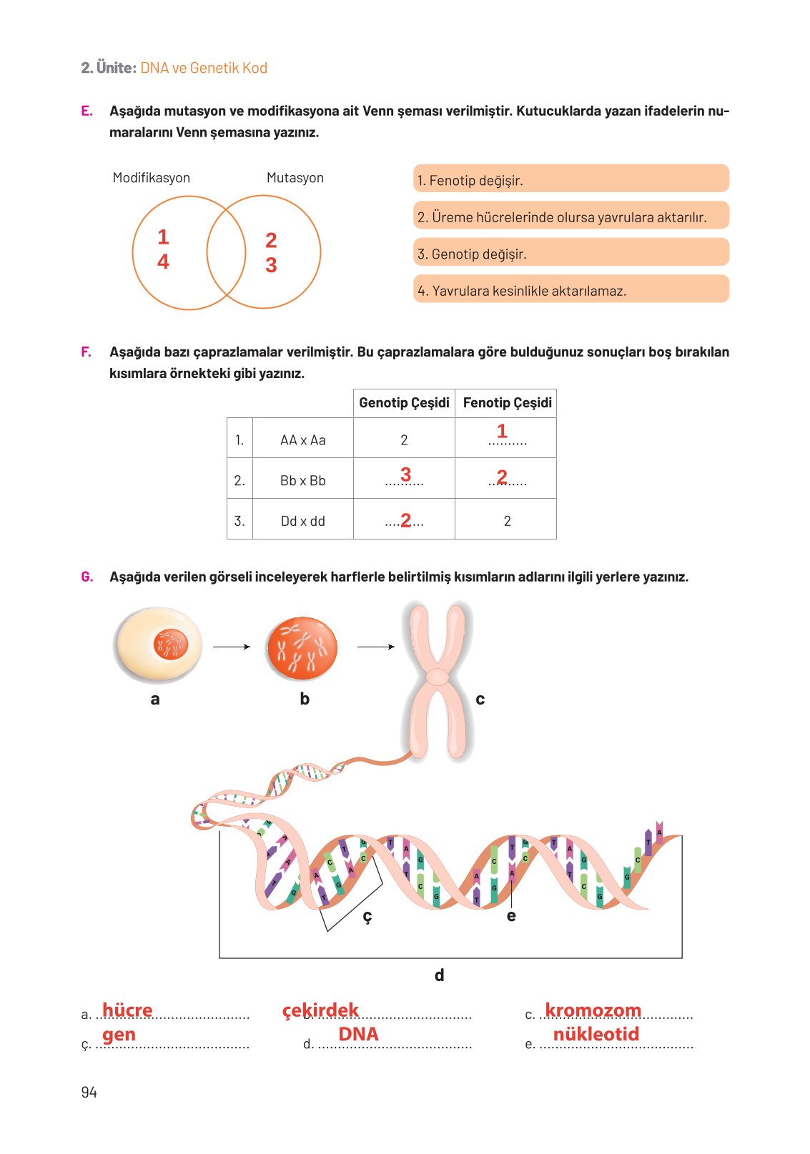 8. Sınıf Fen Bilimleri Ders Kitabı Hecce Yayınları Sayfa 94 Cevapları