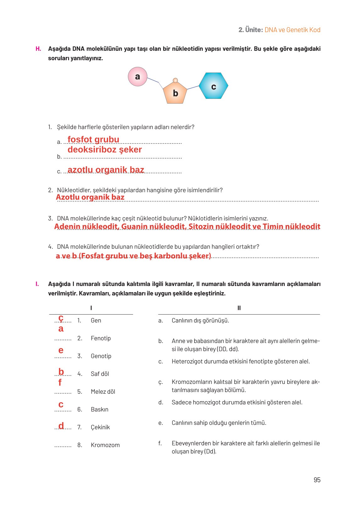 8. Sınıf Fen Bilimleri Ders Kitabı Hecce Yayınları Sayfa 95 Cevapları