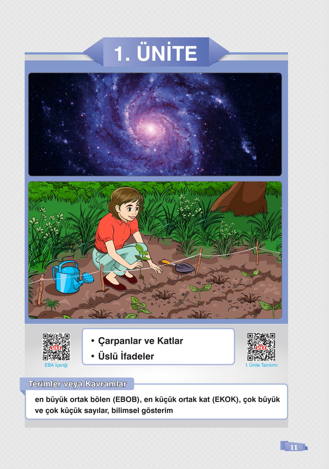 8. Sınıf Matematik Ders Kitabı Sonuç Yayınları Sayfa 11 Cevapları