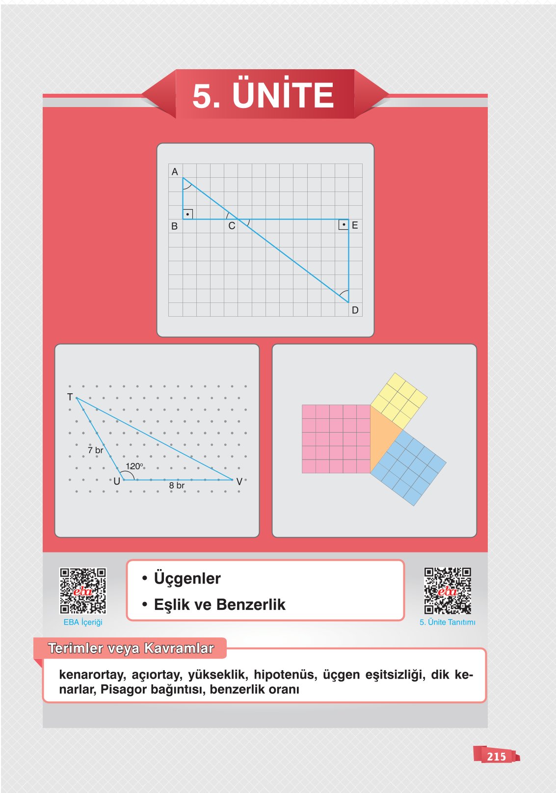 8. Sınıf Matematik Ders Kitabı Sonuç Yayınları Sayfa 215 Cevapları