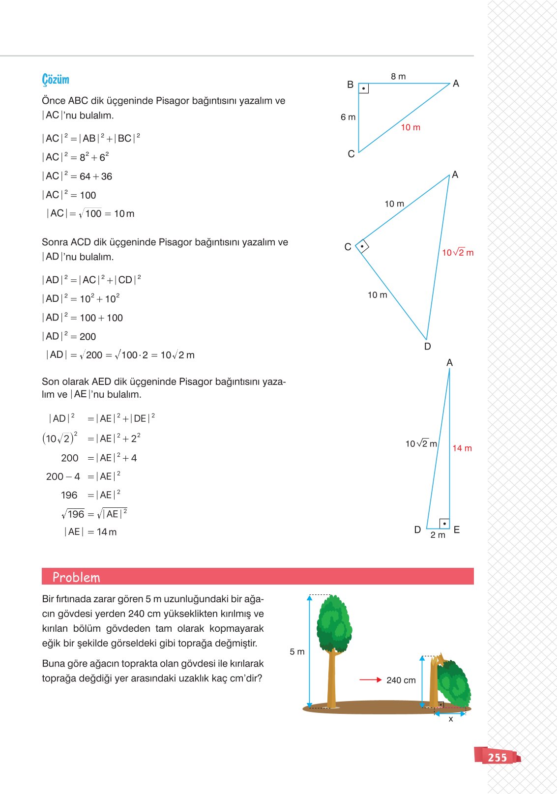 8. Sınıf Matematik Ders Kitabı Sonuç Yayınları Sayfa 255 Cevapları