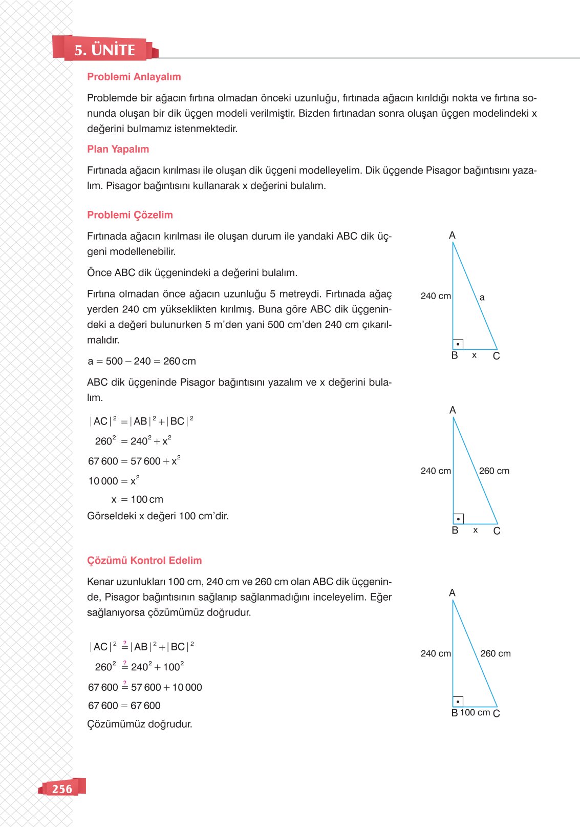 8. Sınıf Matematik Ders Kitabı Sonuç Yayınları Sayfa 256 Cevapları